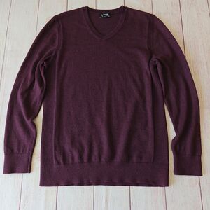 Express merino wool blend V-neck sweater sz M